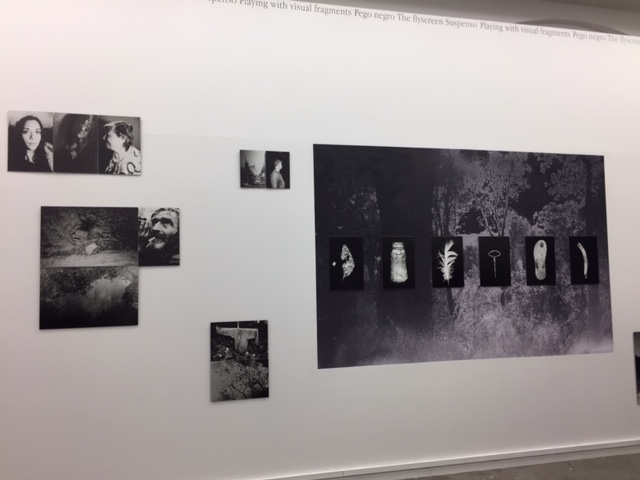 IMG_5373.JPG (68 KB)