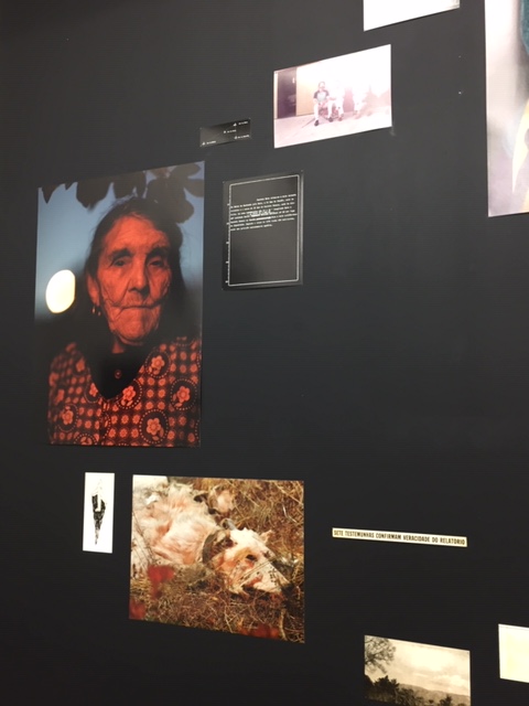 IMG_5374.JPG (86 KB)