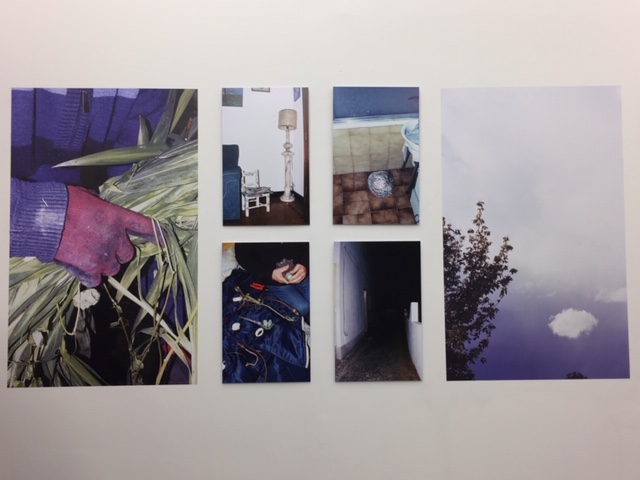 IMG_5375.JPG (81 KB)