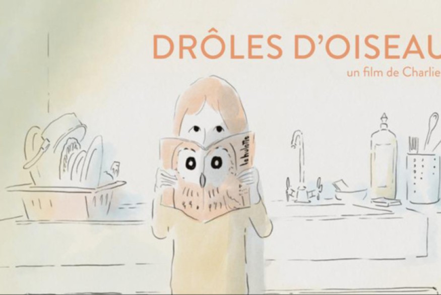 Ecoute ! il y a un éléphant... # 05 avril 2023 - "Drôles d'oiseaux", réalisé par Charlie Belin